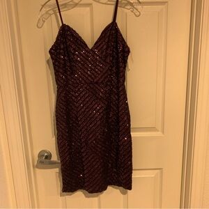 Elegant Eggplant Purple Sequin Dress
